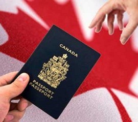 How immigration services can use Mbhelpers.com
